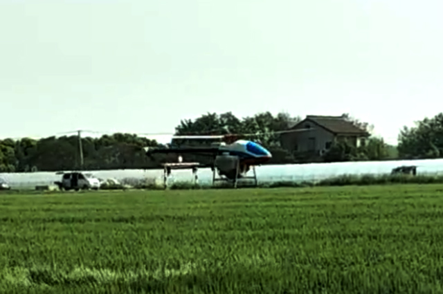 江蘇太倉(cāng)植保無(wú)人機(jī)助力小麥病蟲害防治插圖 江蘇太倉(cāng)植保無(wú)人機(jī)助力小麥病蟲害防治