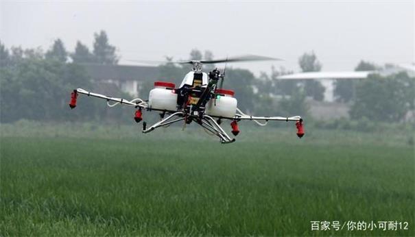 2.jpeg 肅寧植保無人機防治甜菜病蟲害