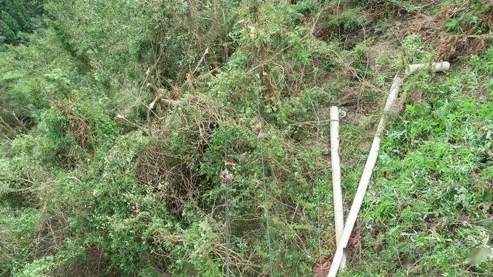 樂清供電公司30臺(tái)無人機(jī)電路問題巡檢插圖 樂清供電公司30臺(tái)無人機(jī)電路問題巡檢