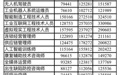 無人機(jī)駕駛員工資每月多少錢（無人機(jī)駕駛員年薪中位數(shù)12.5萬元）